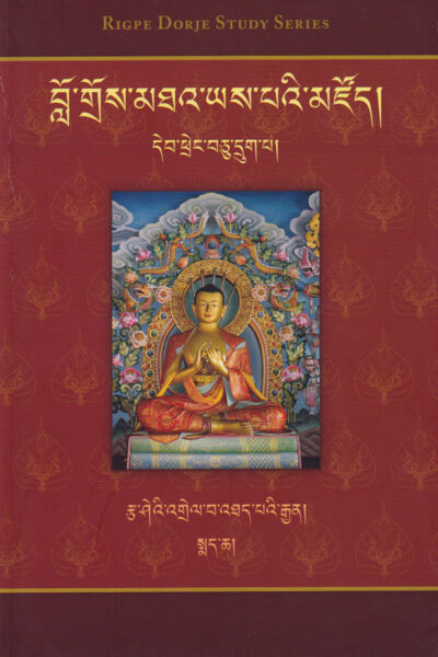 Ornament of Reason: The Great Commentary to Nagarjuna's Root of the Middle Way, Vol. 2