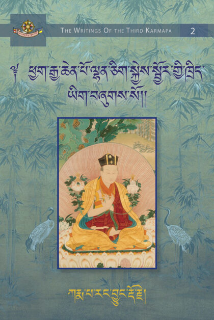A Guidance Manual to the Co-emergent Mahamudra