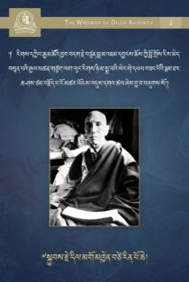 A Grove of the Most Amazing Wish-Fulfilling Trees: A Biography of Dzongsar Khyentse Chokyi Lodro