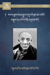 A Concise Biography of the Ninth Sangye Nyempa Rinpoche Geleg Drupai Nyima