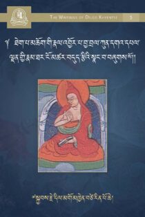 Amazing Lights of Nectar: A Biography of Khenpo Kunzang Palden